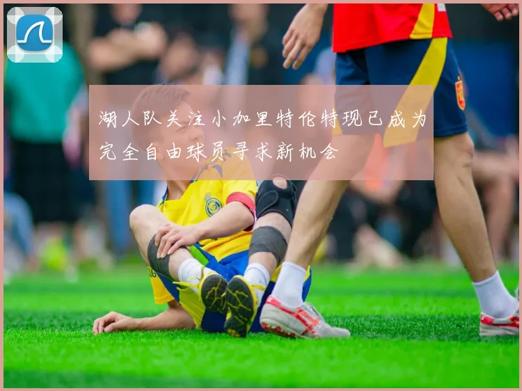 湖人队关注小加里特伦特现已成为完全自由球员寻求新机会
