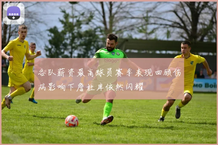 各队薪资最高球员赛季表现回顾伤病影响下詹杜库依然闪耀
